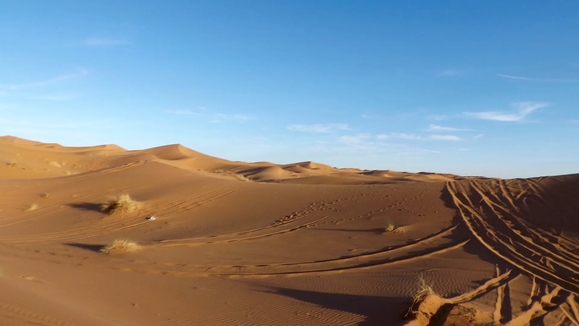 12 Day Signature Sahara and Cities Tour